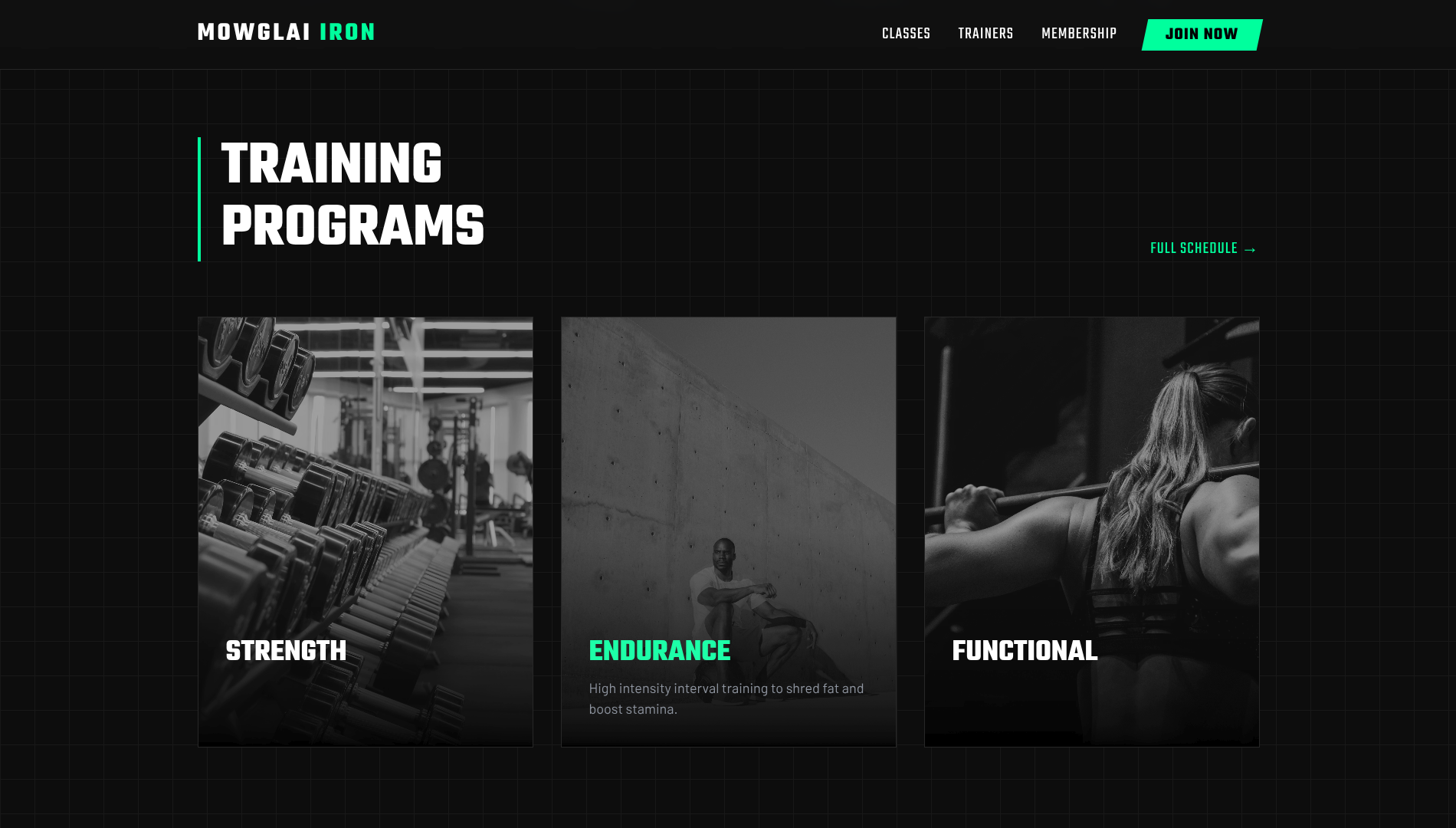 Iron Strong - View 2