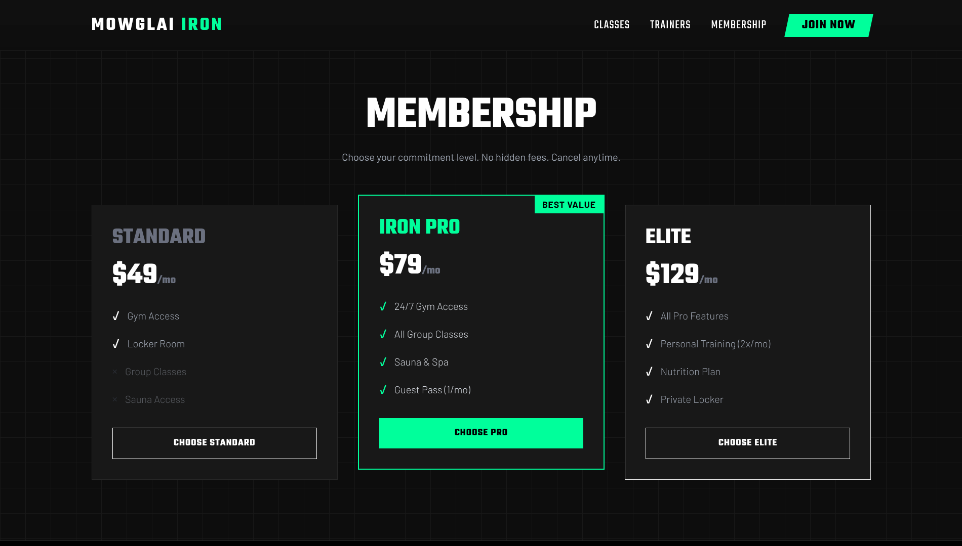 Iron Strong - View 4